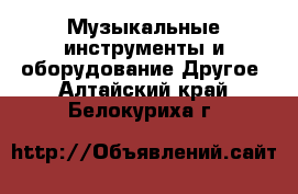 Музыкальные инструменты и оборудование Другое. Алтайский край,Белокуриха г.